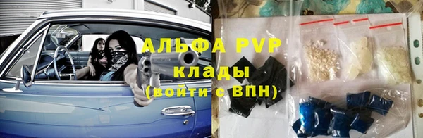 мяу мяу мука Аркадак