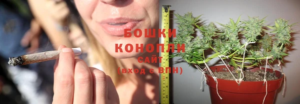 мяу мяу мука Аркадак
