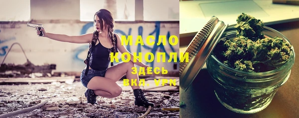 индика Абдулино