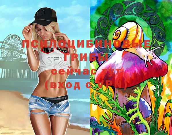 меф Арсеньев
