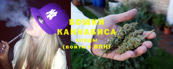 мяу мяу мука Аркадак